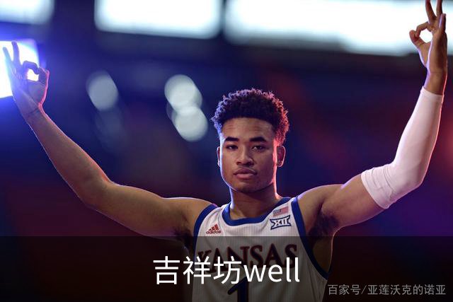 吉祥坊well公司介绍图